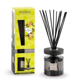 BOUQUET ELLIPSE TERRE D'AGRUMES 200ml
