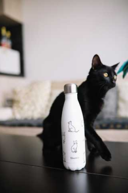 ISO.PRETTY CATS 500 ML – Image 2